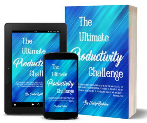 Ultimate Productivity Challenge DIY Set PLUS Monthly Personal Coaching